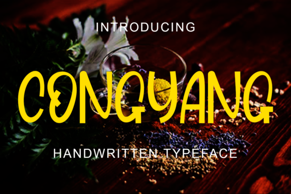 Congyang: A Whimsical Display Font for Trendy Branding