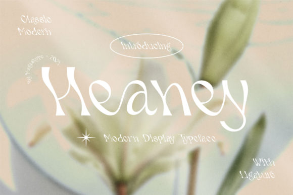 Heaney: A Whimsical Display Font for Creative Branding