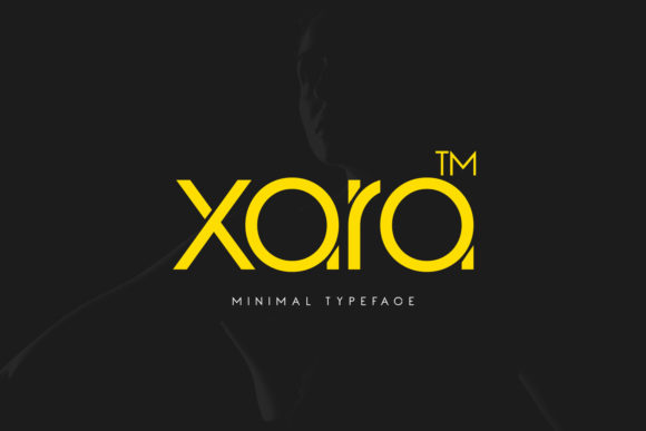 How Xara Transformed My Campaign Visuals