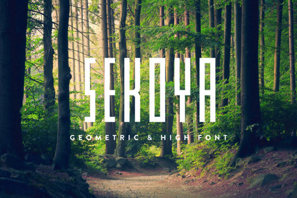 Sekoya: A Modern Display Font for Small Business Branding